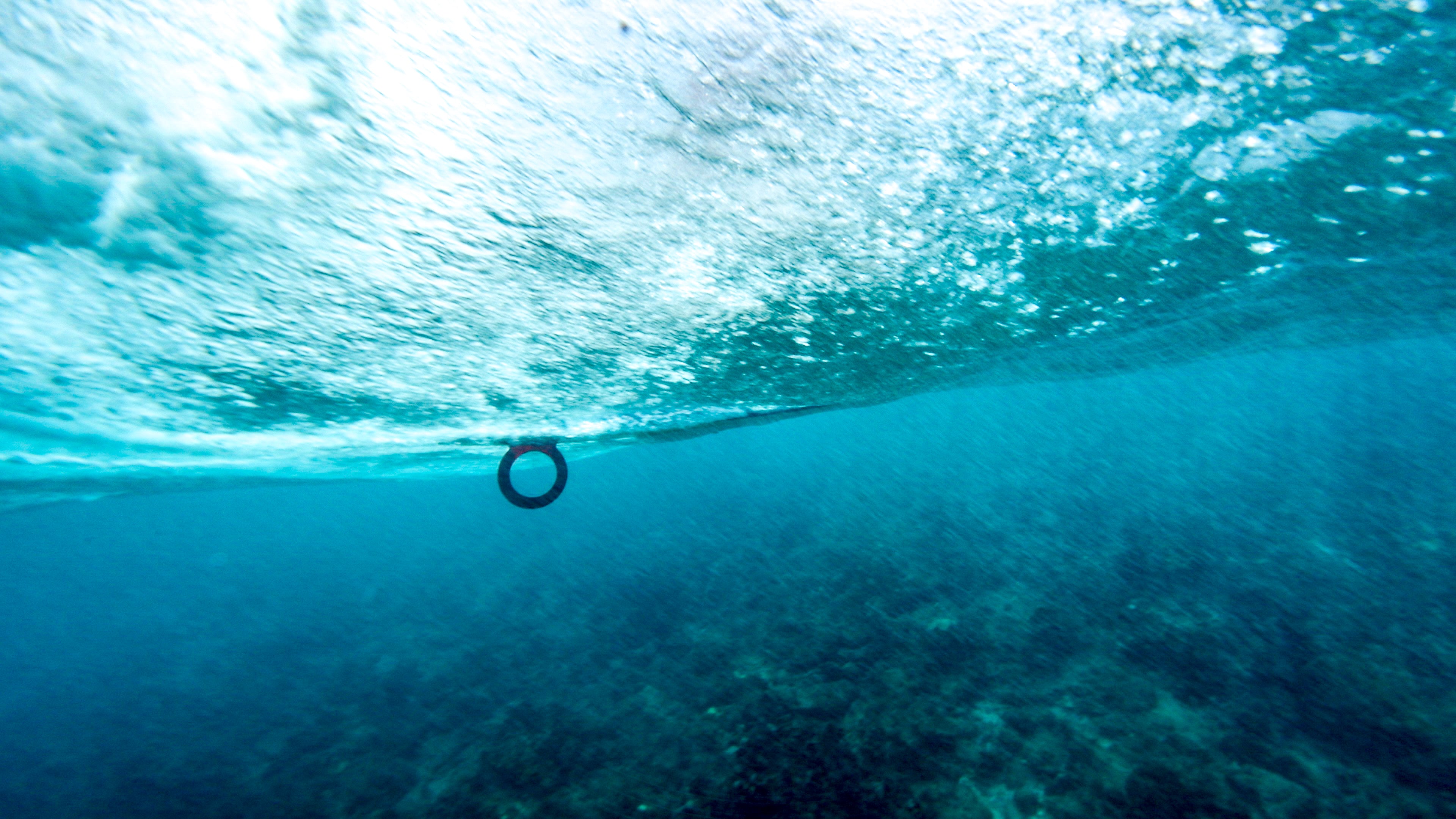 The O-Fin is the world's first and only circular fin. Underwater view. Photo credit: Roddy / Acquafilms