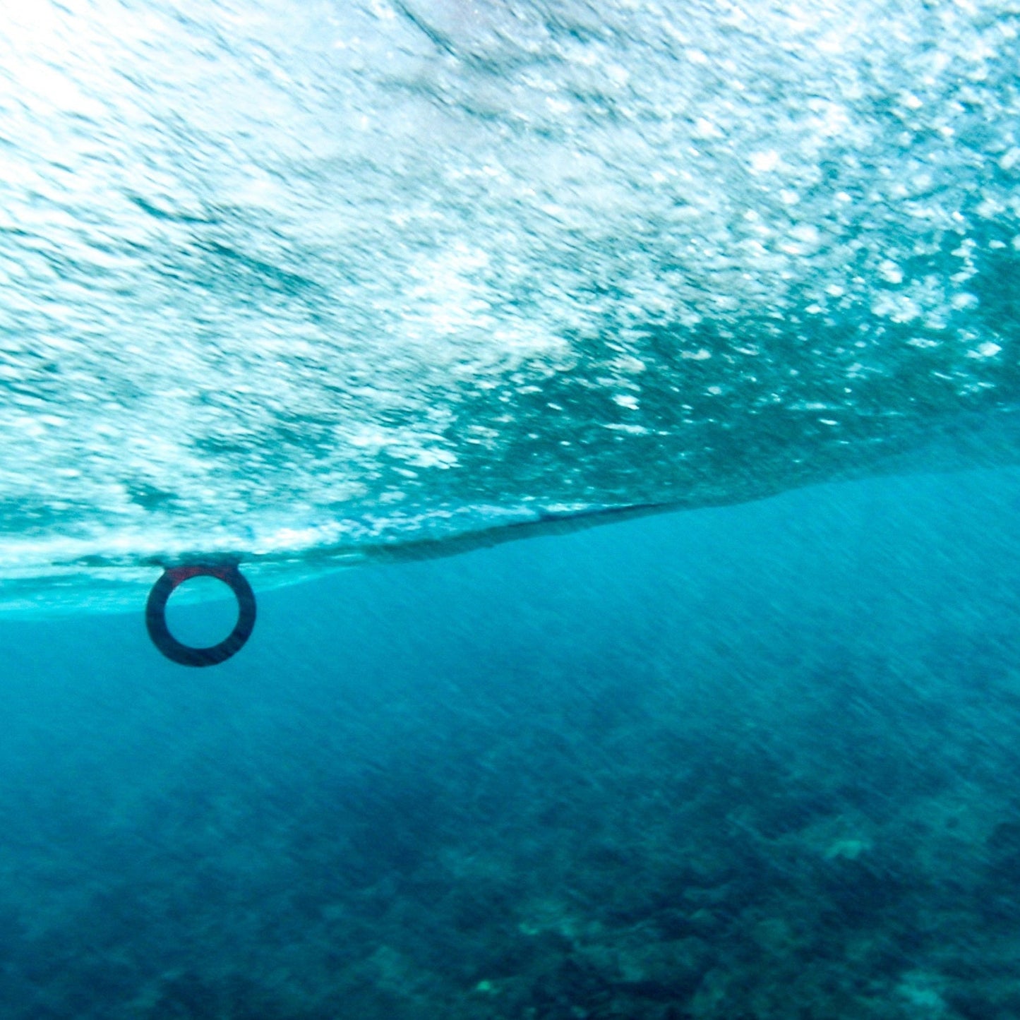 O-Fin underwater view- the world's first and only circular fin.  Photo credit: Roddy / Acquafilms